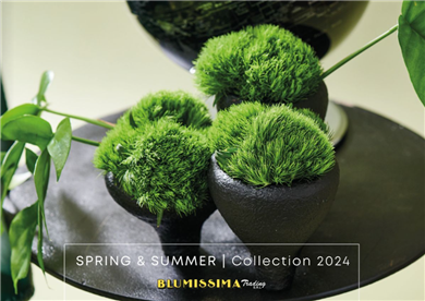 Catalogo Primavera&Estate 2024