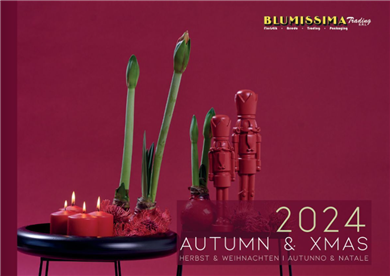 Catalogo Autunno&Natale 2024